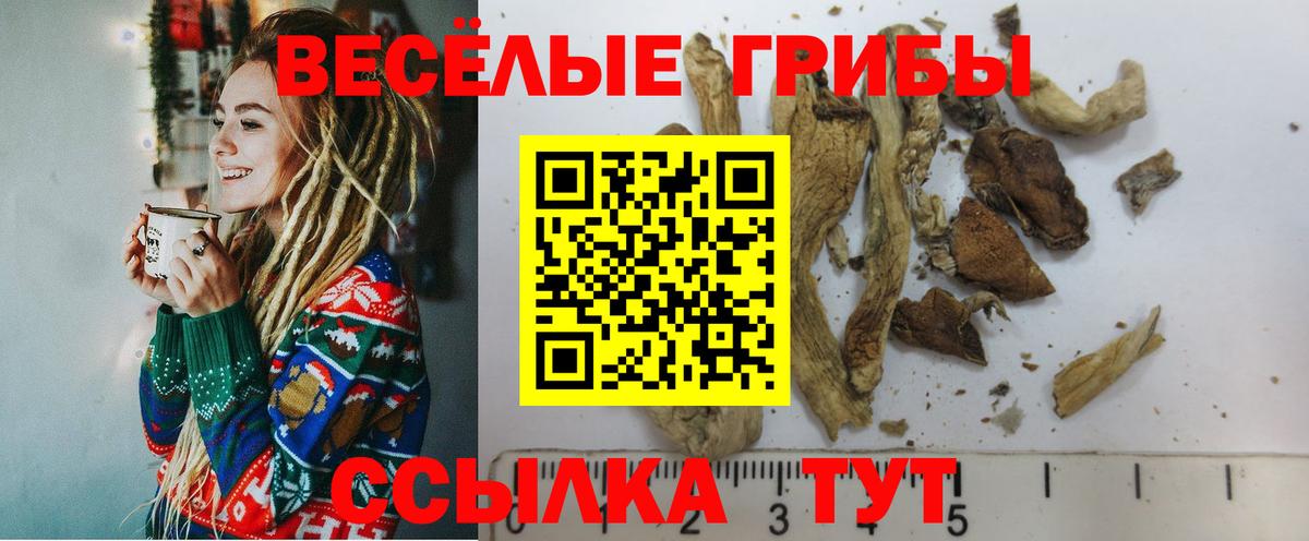 Троицк  Псилоцибиновые грибы мицелий  Вход с VPN 